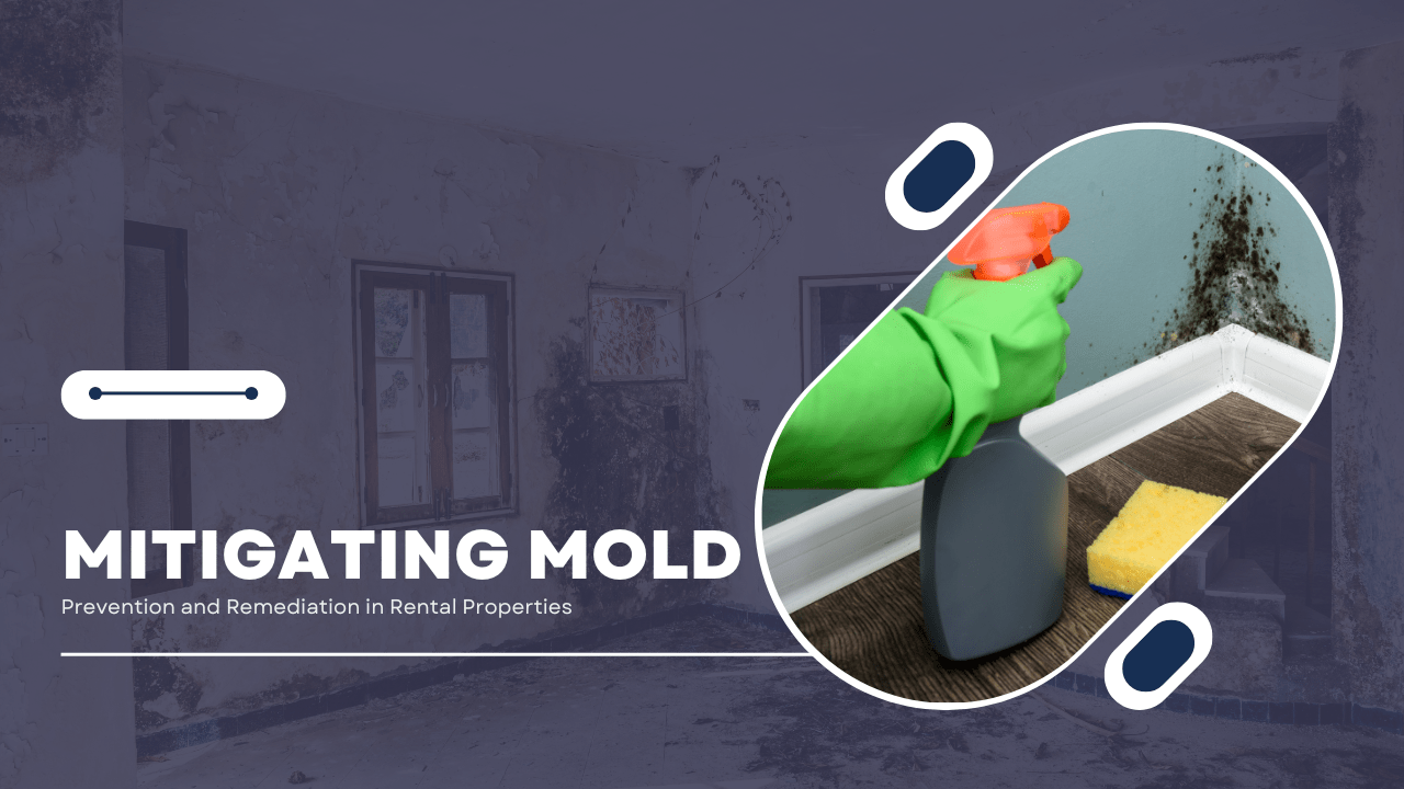 Mitigating Mold: Prevention and Remediation in Rental Properties